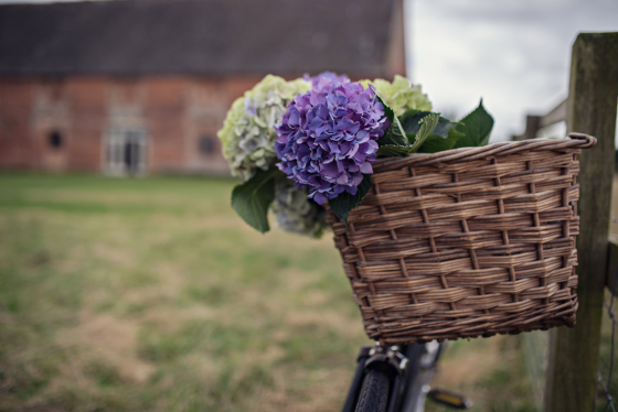 Summer Love Photography - Lifestyle Portraits