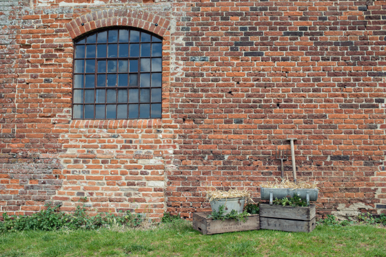 Summer Love Photography - Lifestyle Portraits