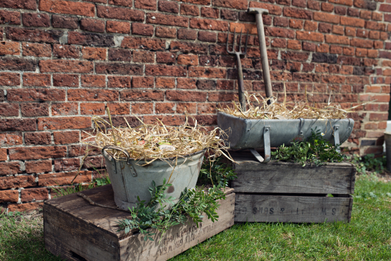 Summer Love Photography - Lifestyle Portraits