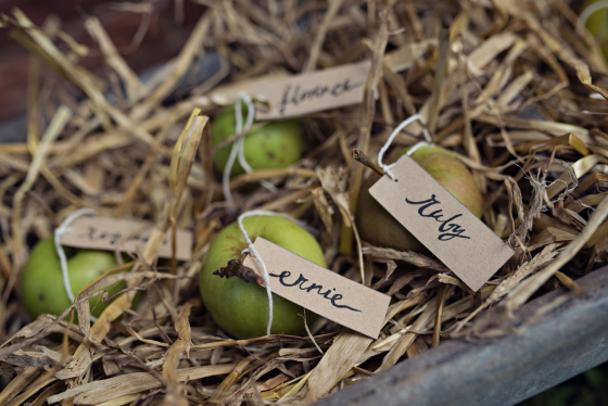 Summer Love Photography - Lifestyle Portraits
