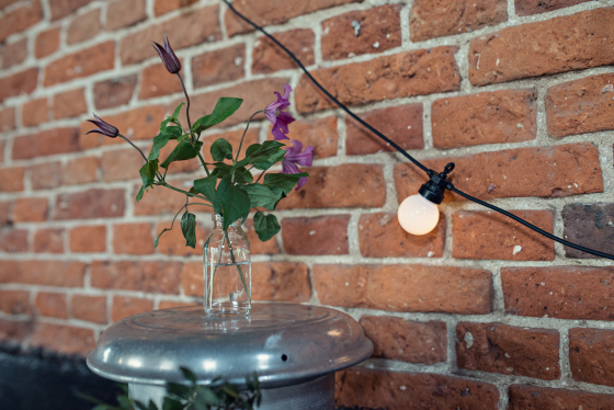 Summer Love Photography - Lifestyle Portraits