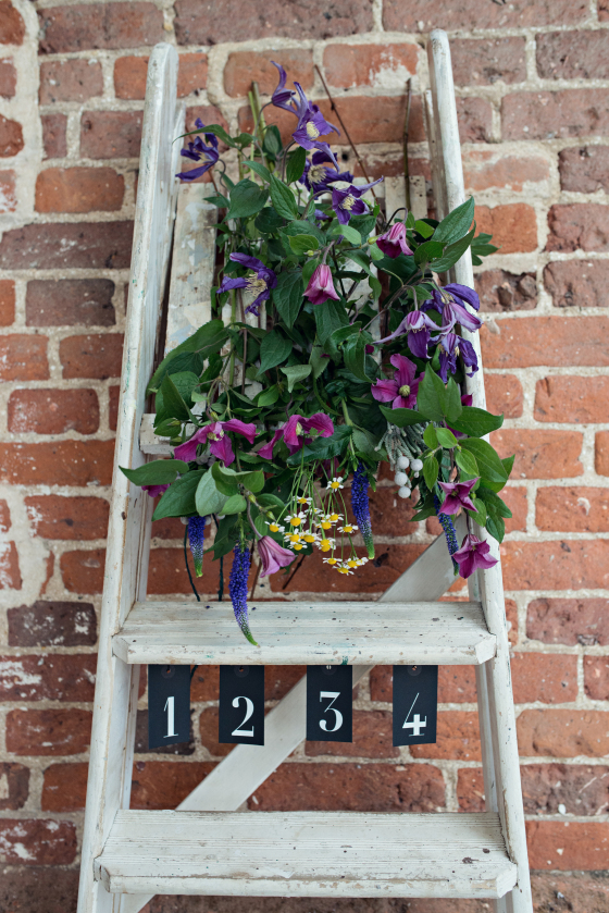 Summer Love Photography - Lifestyle Portraits