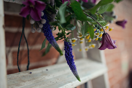 Summer Love Photography - Lifestyle Portraits