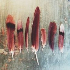 9ec6dabcee298b3a8ed0749937d19689