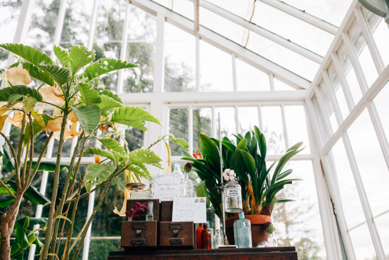 Botanical Shoot LMD-1030