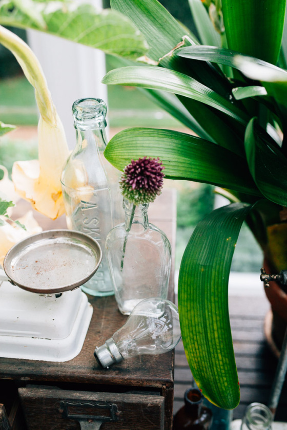 Botanical Shoot LMD-1040