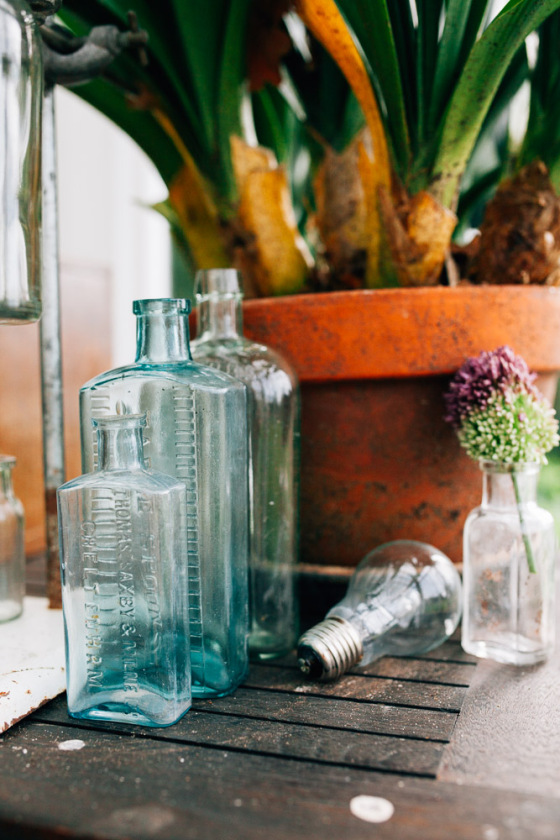 Botanical Shoot LMD-1043