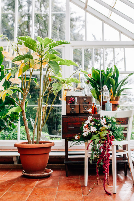 Botanical Shoot LMD-1064