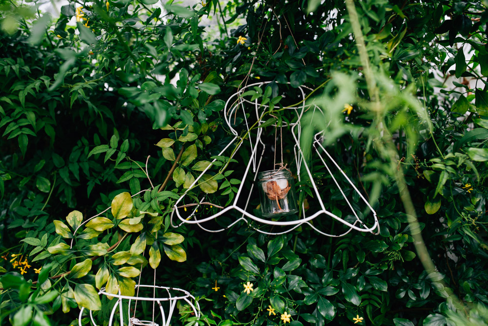 Botanical Shoot LMD-1141