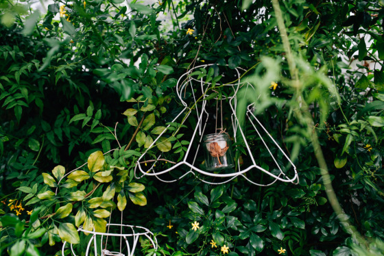 Botanical Shoot LMD-1141