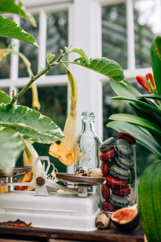 Botanical Shoot LMD-1261