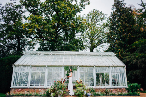 Botanical Shoot LMD-1376