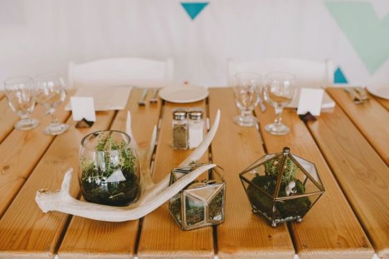 09ec50948eab16421a7997eda8195ac5