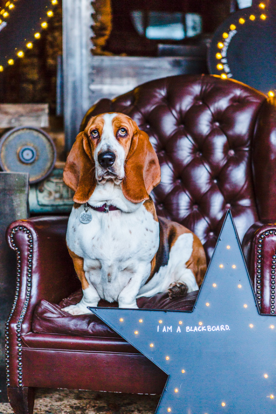 2015 | GandT_Web179_©tatumreid.com